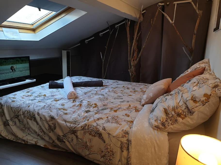 Appartement Duplexe De 1 A 4 Chambres Privees Dans Maison Le Teil Kültér fotó